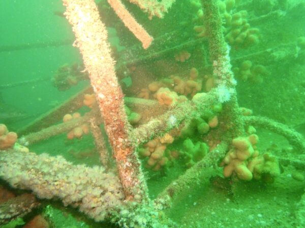 Perle, la nave scuola sotto le onde dell’Atlantico