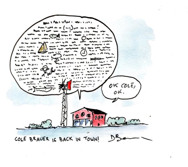 La vignetta di Davide Besana per Daily Nautica 