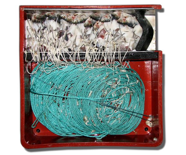Il governo delle Maldive decide di vietare il Longline Fishing