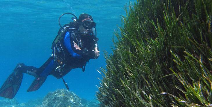 Posidonia Oceanica Citizen science scienza partecipata