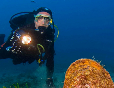 pinna nobilis e sub diving