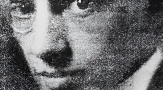 L'architetto Hermann Sörgel