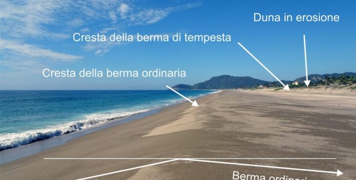 spiaggia zone e biologia