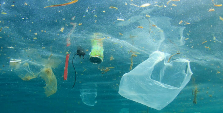 Mare Monstrum, il dossier di Legambiente