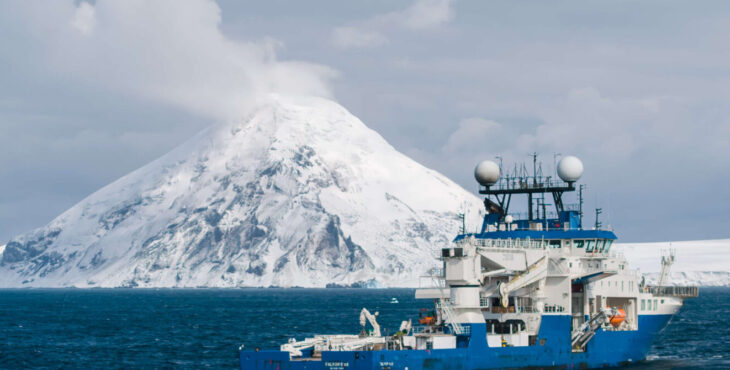 Spugne carnivore, “vermi zombie” e distese di coralli scoperti nell’Oceano Antartico 